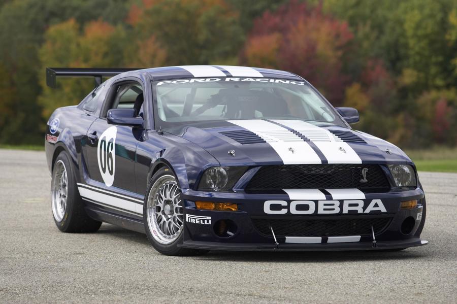  Ford Mustang FR500 2005 года  (фото 4 из 51)